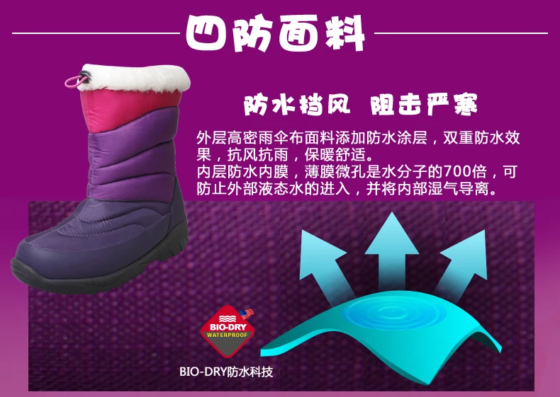 BOT12010-02_05