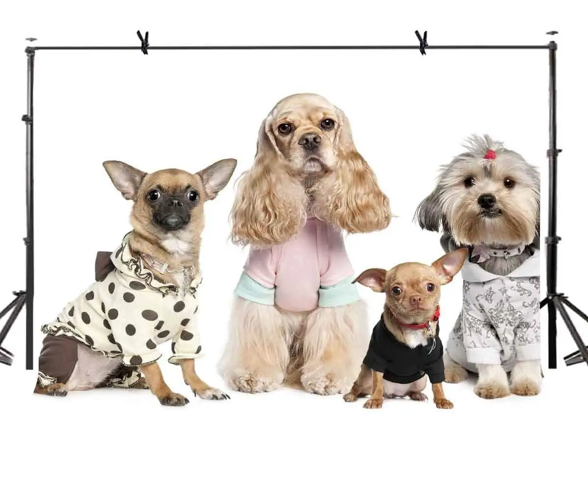 

7x5ft Pet Dog Backdrop Cute Dressed Pet Dog Photography Background and Dog Lovers Photography Backdrop Props