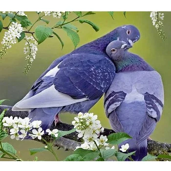 

DIY Diamond Painting Cross Stitch Square Diamond Embroidery Pigeon Picture Home Decoration Kits Yarn Rhinestones Beadwork Crafts