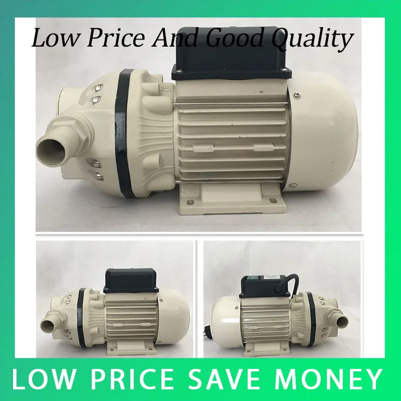 220V AC Fuel Transfer Pump Self-Suction 40L/min Diaphragm Pump For Urea Solution