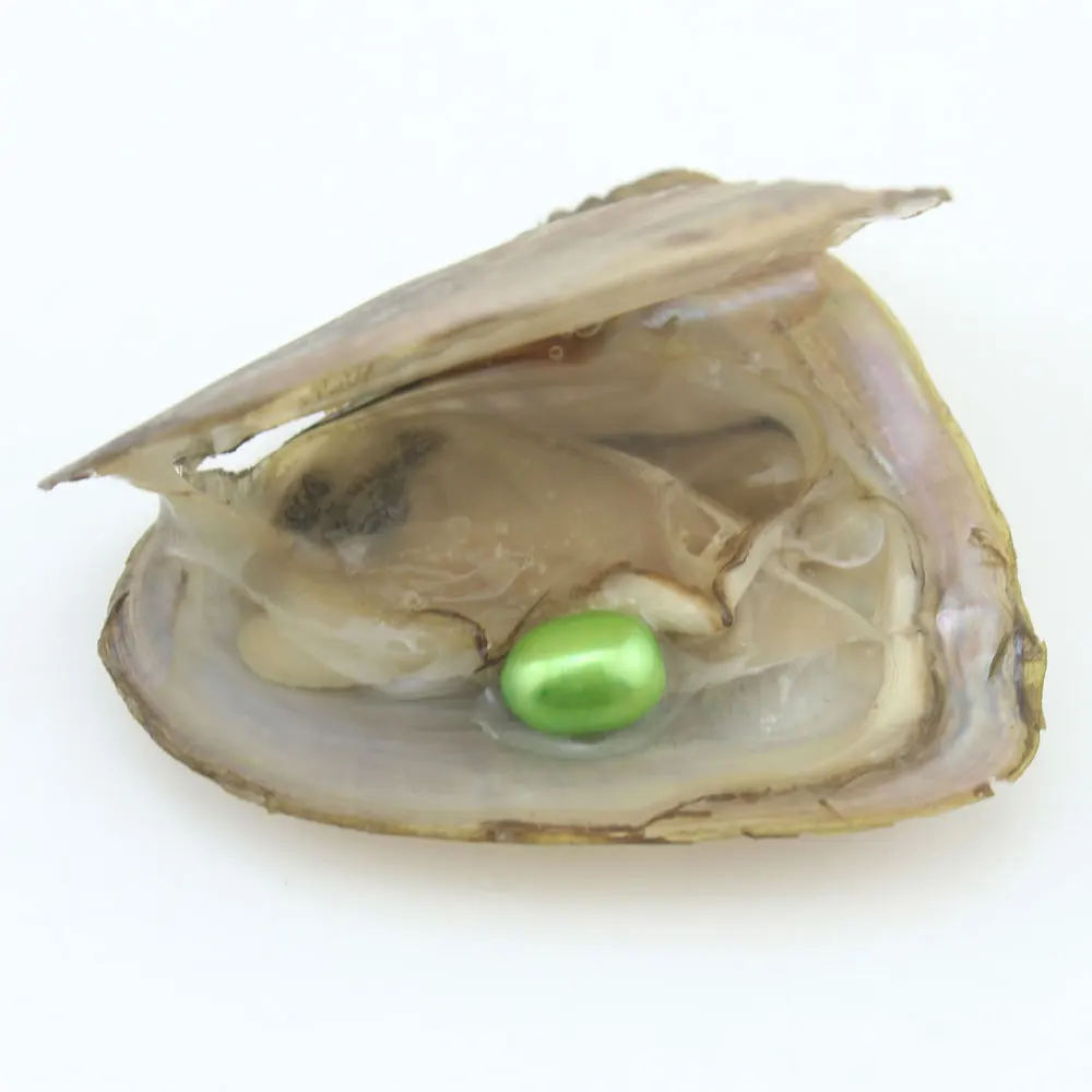 Oyster 100