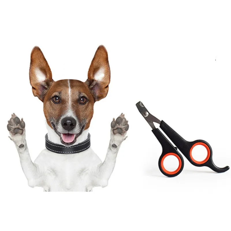 

New Stainless Steel Dog Cat Nail Clippers Trimmer Scissors Grooming for Nail Dog Puppy Pet Trimmer accessceries