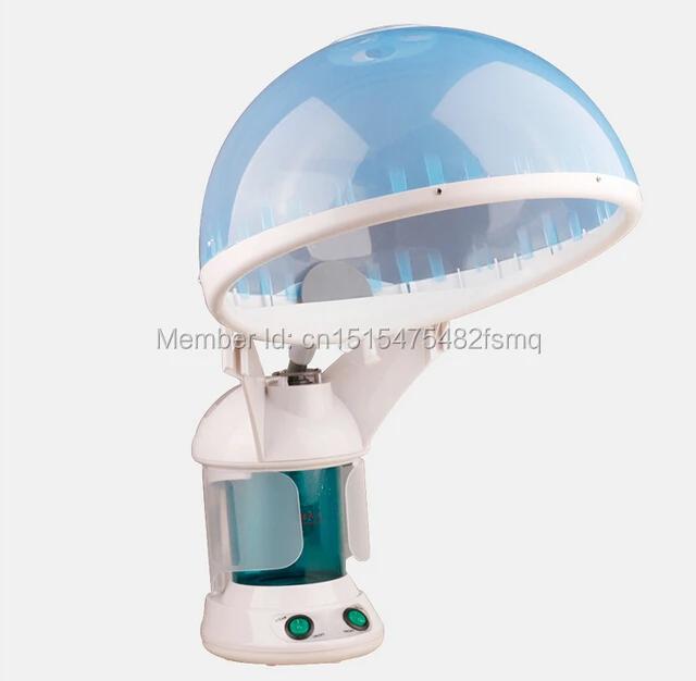 hair face steamer 1