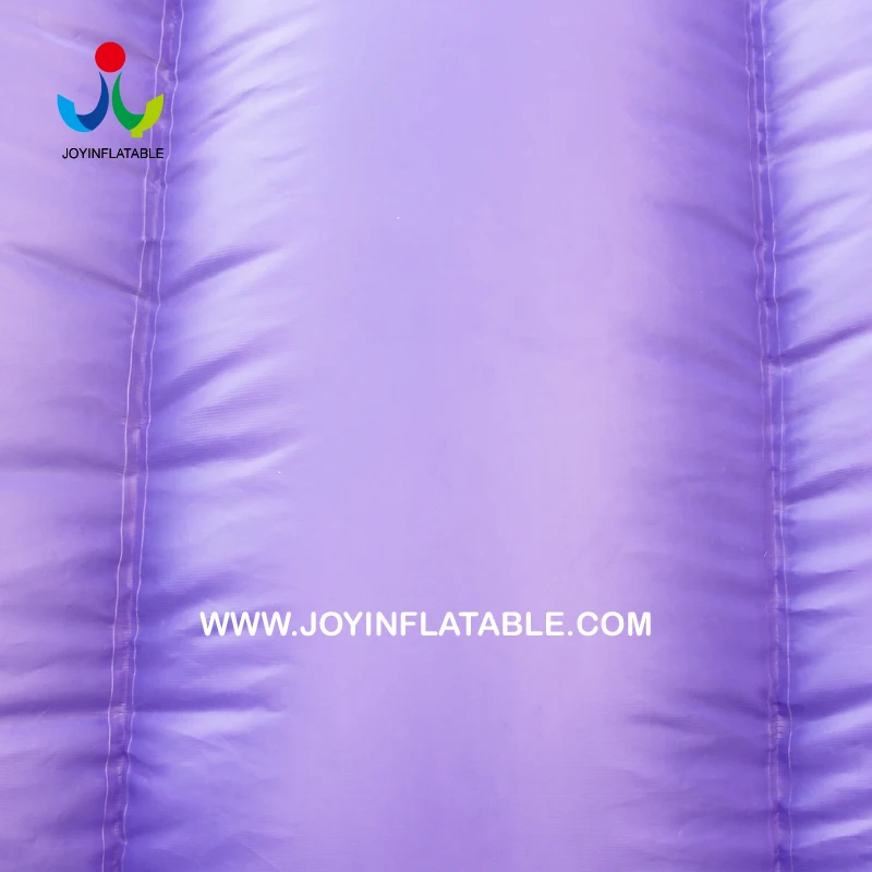 Inflatable Party House Tent for Sale 2