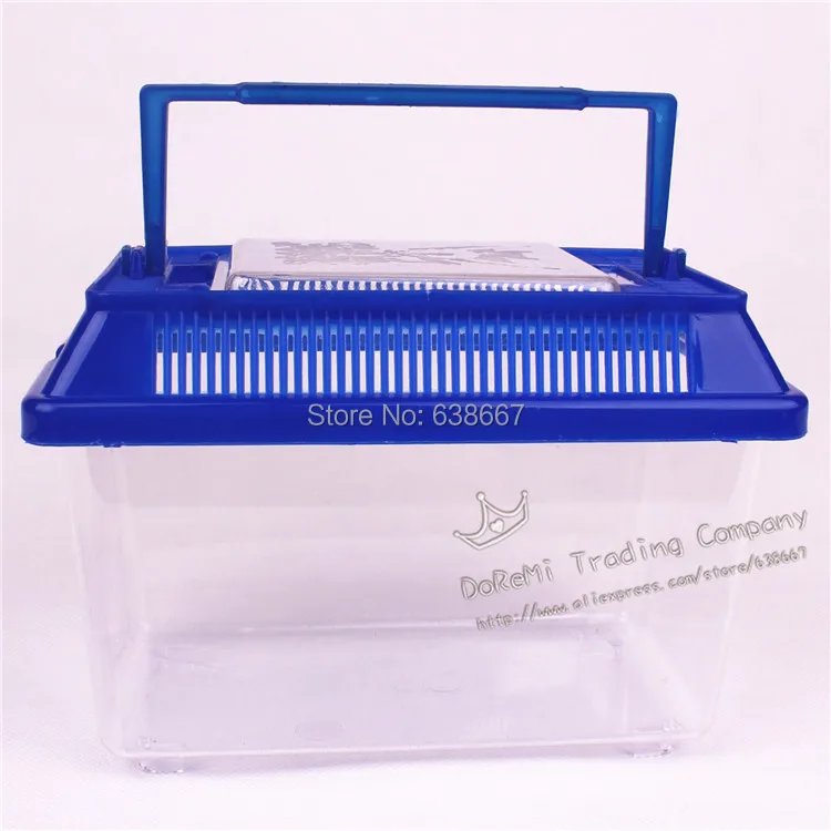 (6 pieces/lot) portable pet box snail breeding box crawler feeding