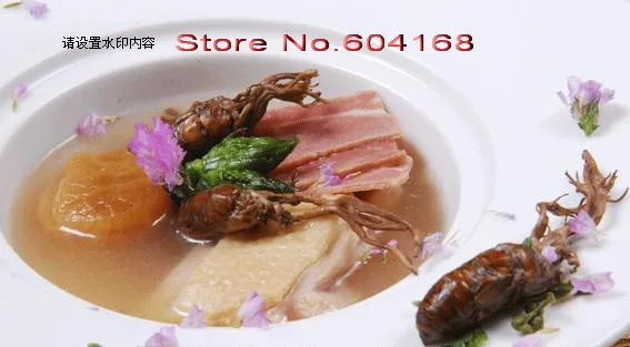 

Gold Cicada Flower  Traditional Chinese 500 g Free Shipping  Free Shipping tea