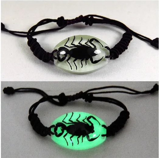 Real Black Scorpion Insect Glow Lucite Amber Bracelet Bangle Bug Real Black Scorpion Insect Glow Lucite Amber Bracelet Bangle Bug Jewelry Taxidermy Gift