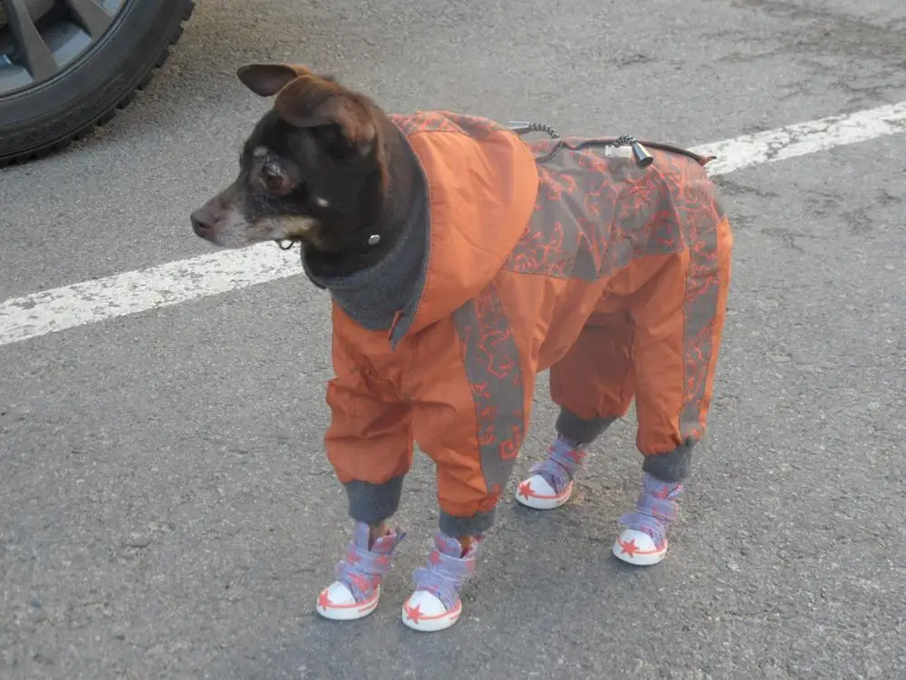 UT8fZ2aX90XXXagOFbXR