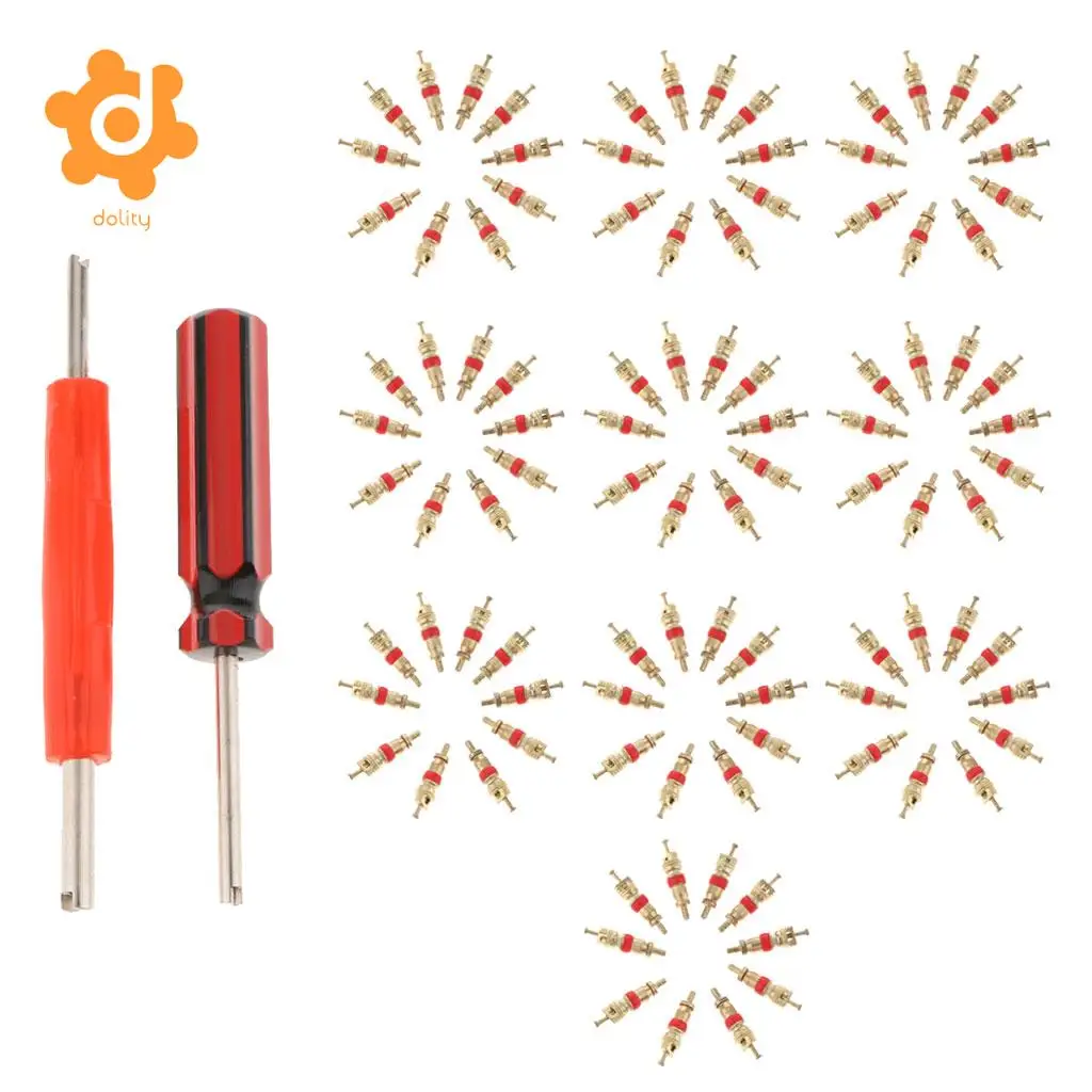 102Pcs Tire Valve Stem Core Part Dual /Single Head Valve Core Remover Set