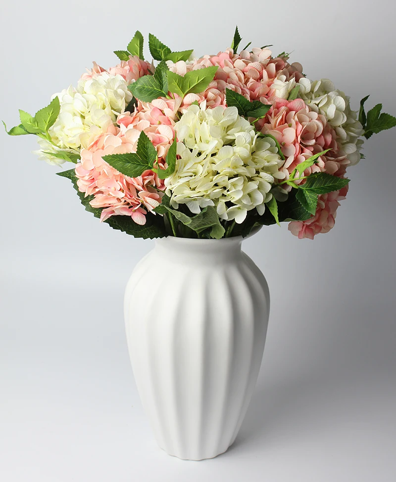 5white5pink