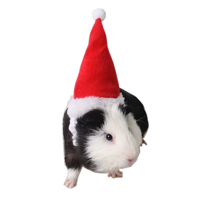 Christmas Pet Cat Hats Caps Adjustable Elastic Band Rabbit Guinea Pig Totoro Puppy Dog Head Supplies Party Decoration #F#40NV14 (1)