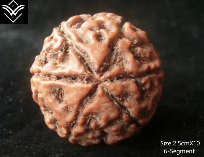 Rudraksha 6 сегментов 25 мм x 10 сетчатый Браслет Будды с бусинами | Украшения и
