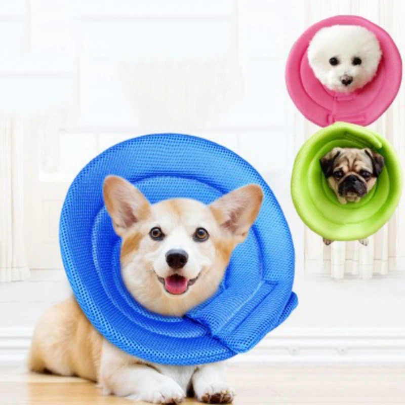 Adjustable Recovery Pet Cone Collar For Cats Puppy Rabbit, Plastic
