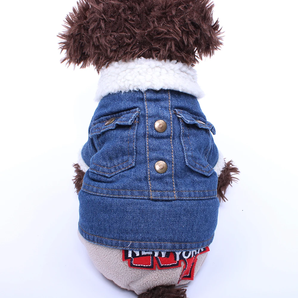PM-00911 (5)