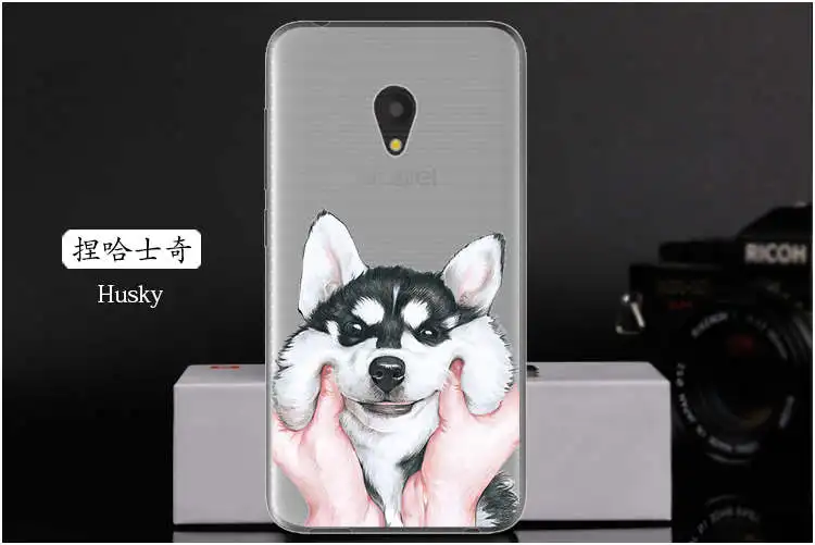  Husky