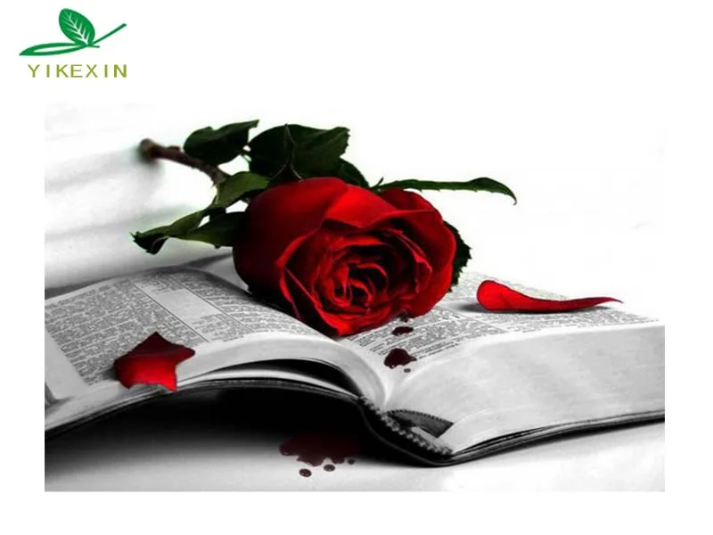 Full Circular Diamond 5D DIY Painting Photo Roses and books 3D Embroidery Cross Stitch Decor | Дом и сад