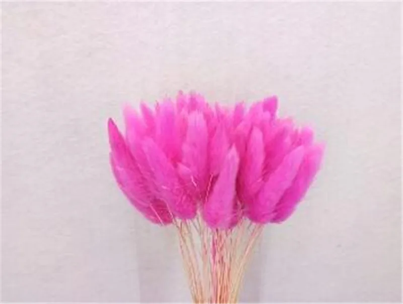 QQ20190108145159