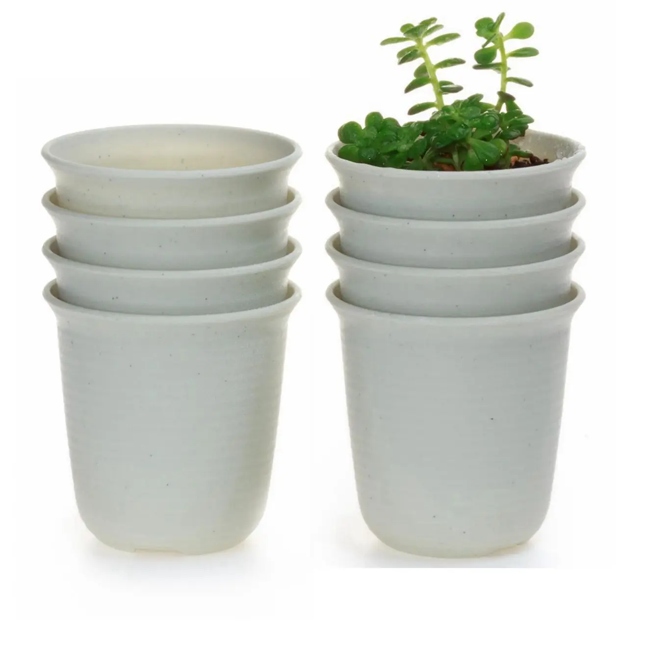 

T4U 5.75 Inch Plastic Round succulent Cactus Plant Pot Flower Pot/Container/Planter Package 1 Pack of 8