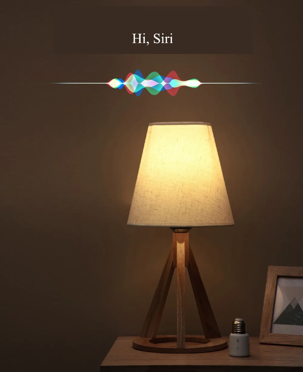 light socket -b-12