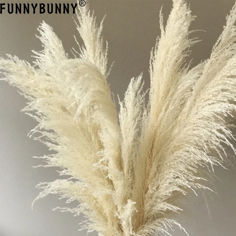 FUNNYBUNNY 1 шт. розовый тростниковый тростник сушеный цветок шипы сушеные цветы