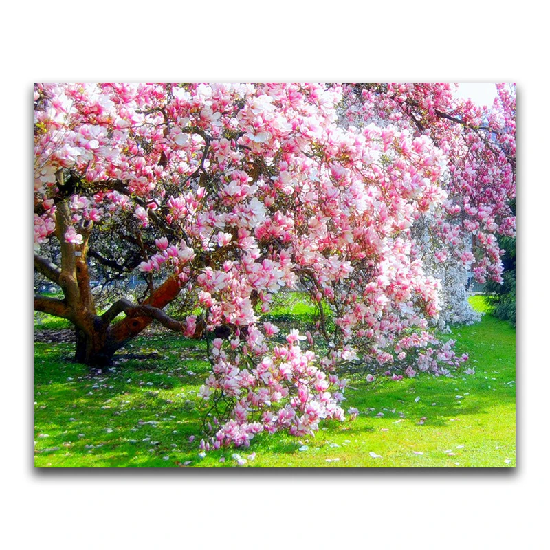 Full Square Diamond painting spring DIY 3d Diamond mosaic peach tree Full Round Diamond embroidery Cross stitch Pink flowers