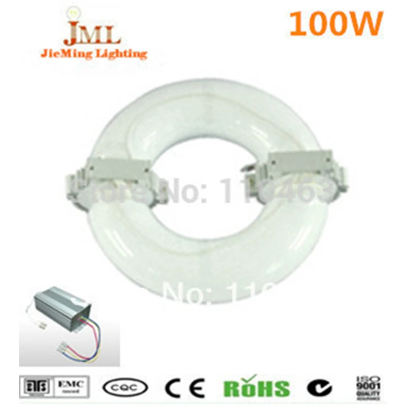 Ring shape 100W induction lamp 8000lm electrodeless discharge lamp