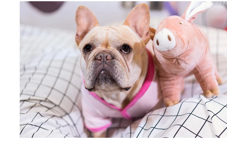 TB2rb0ukSfD8KJjSszhXXbIJFXa_!!58305263