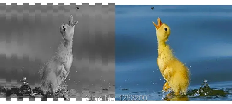 00_