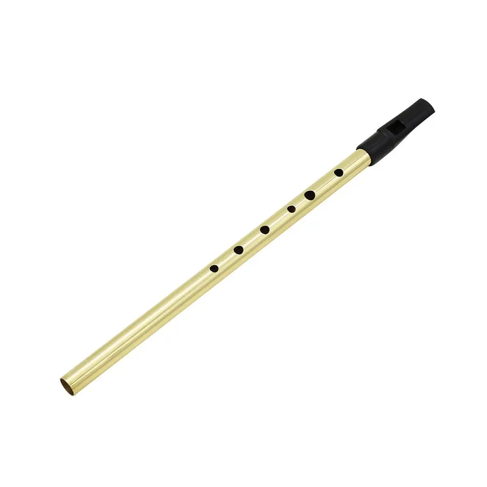 

Dragonpad Irish Whistle Flute D Key Ireland Flute 6 Hole Musical Instrument