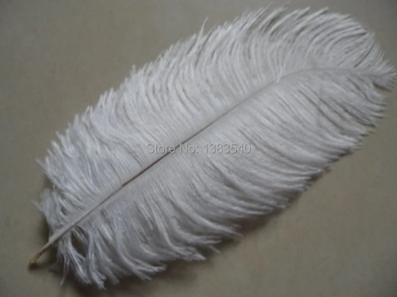 

Wholesale 10 PCS beautiful 15-20 cm / 6 to 8 inches of White wedding feather ostrich feathers