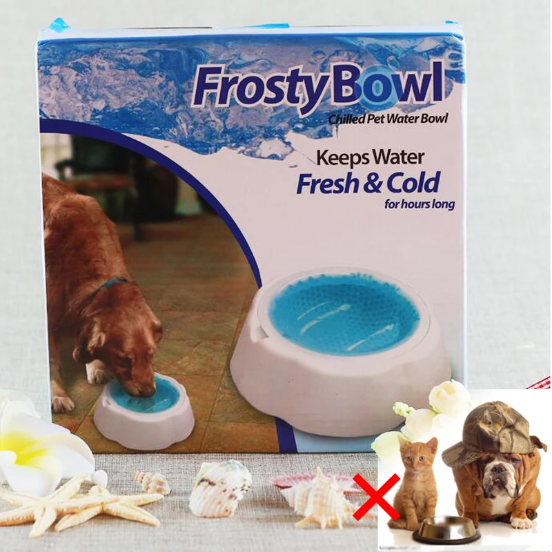 chilled cat food bowl
