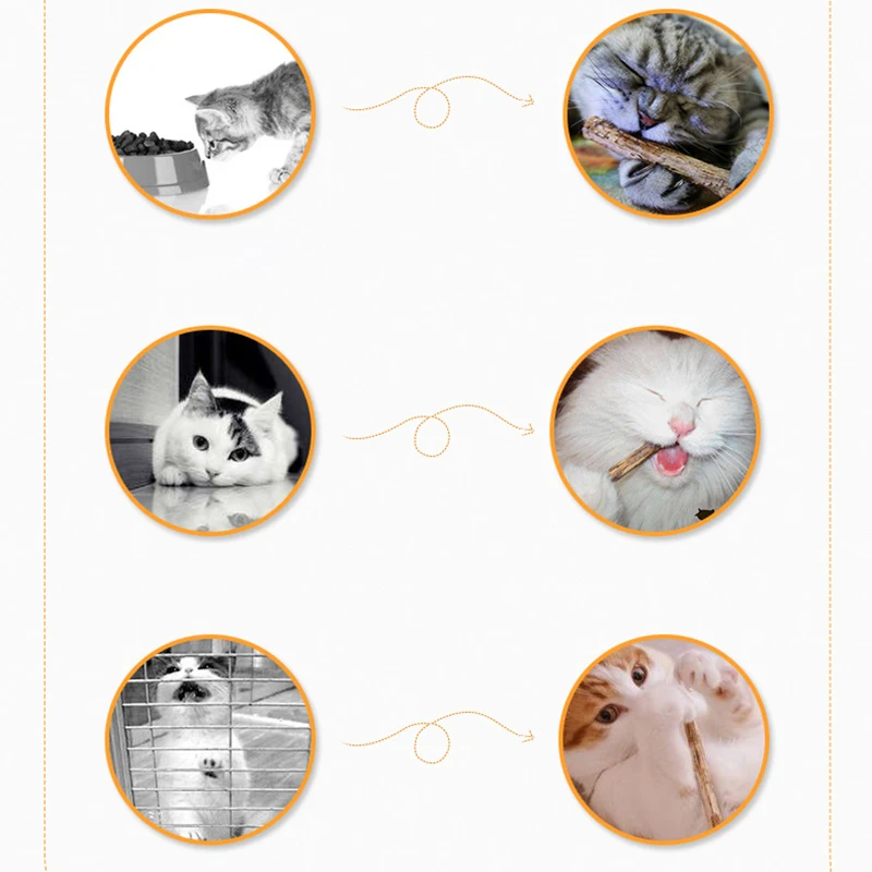 500 г/750 г/1 кг/1500 г/2 кг натуральная кошачья мята кошка игрушка молярная зубная паста ветка чистка зубов Silvervine Matatabi для кошек снэки палочки