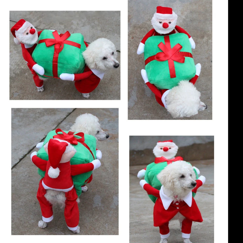 Funny Cute Christmas Dog Pics D For Dog