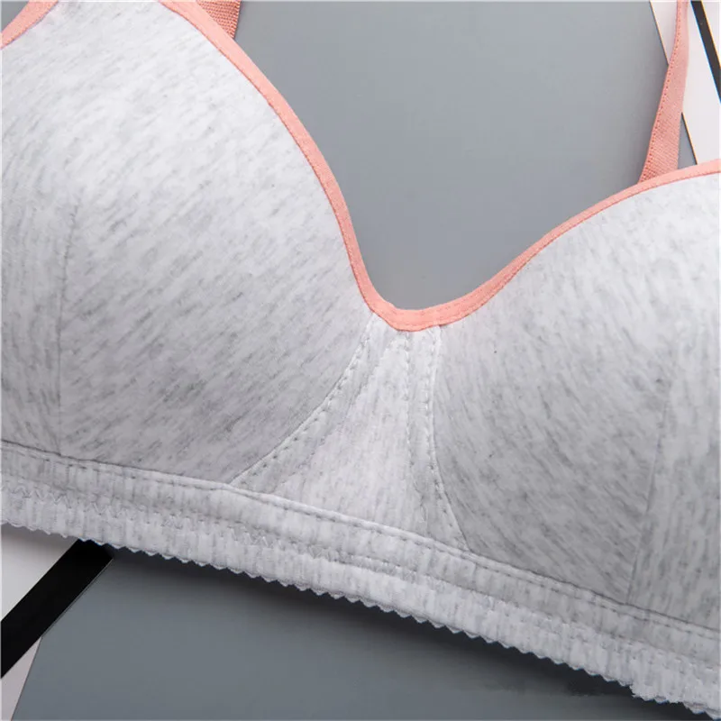 7496923485_1683409956