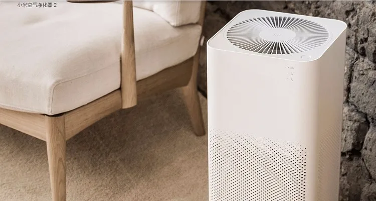 HTB1fh96KFXXXXb9XVXXq6xXFXXXQ