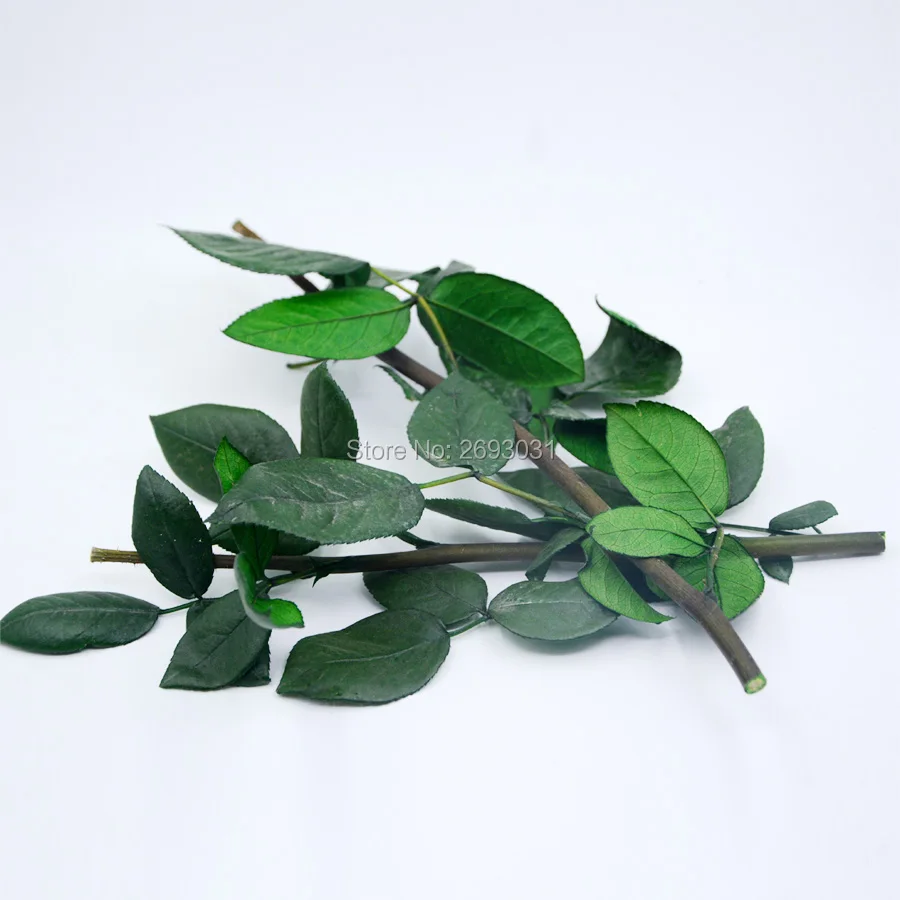 

DIY Decoration Preserved Artificial Flowers Branch Stems Vine Leaves Dried Fresh Rose Flower Branches Material Handmade 20cm