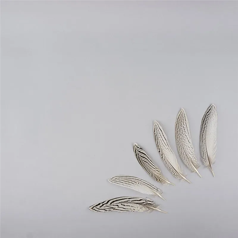 natural-silver-pheasant-feather-tail-sp6--n-alt1
