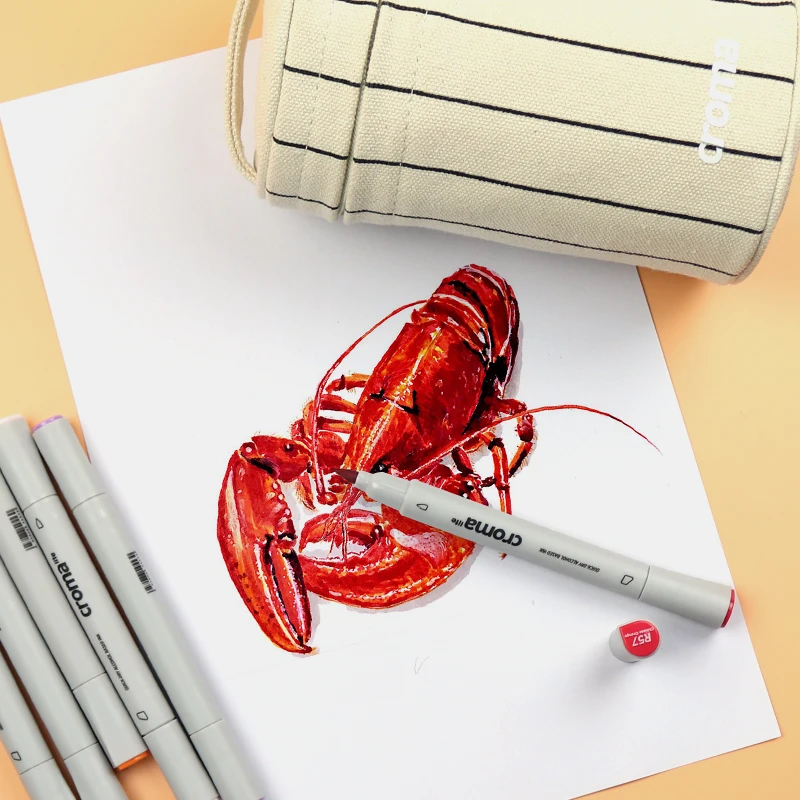 Croma Art Markers Pen Set 24/36/48/60/72/216Colors Sketch Marker Dual Head Drawing Art Brush Pens Oily Alcohol Based with 4 Gift view 4