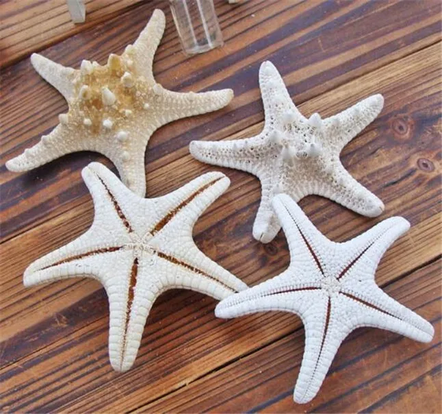 Starfish5