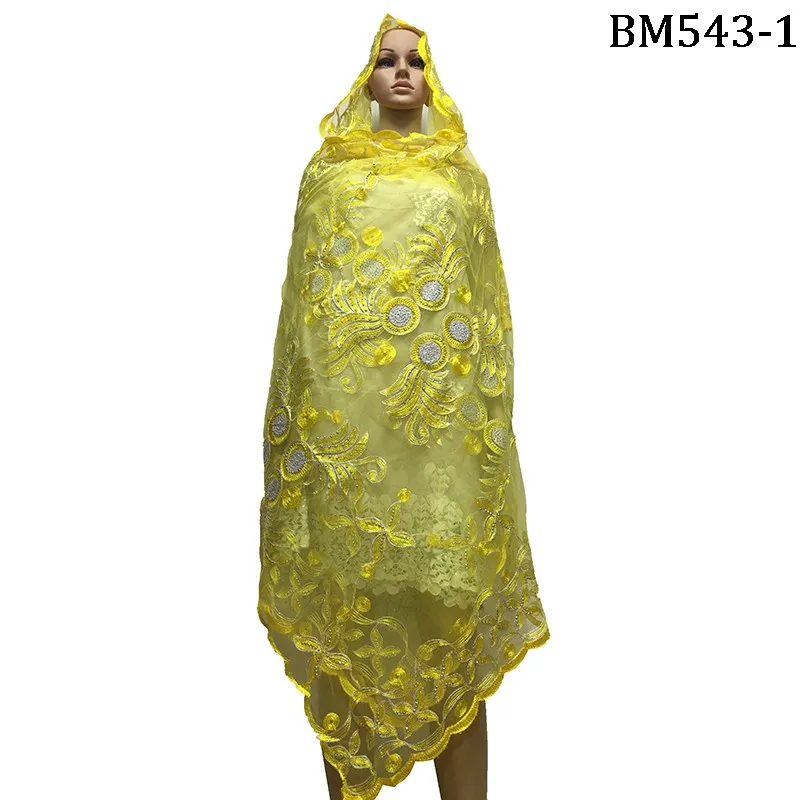 BM543-1
