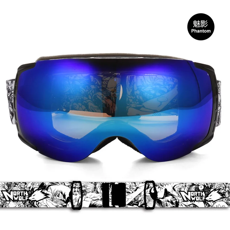 top ski goggles 2017