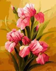 MaHuaf-X1634 Pink irises Framed Acrylic Painting by Number kit digital canvas paintings for living room 40x50 