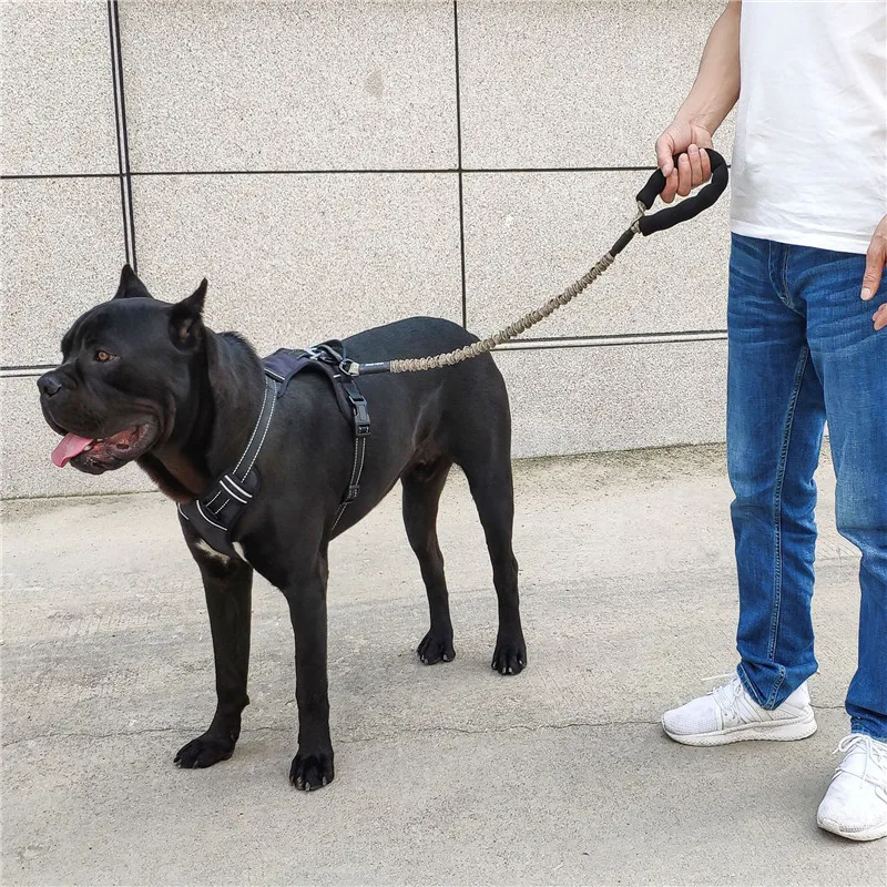 75cm Pet Dog Leash Rope Extendable (14)