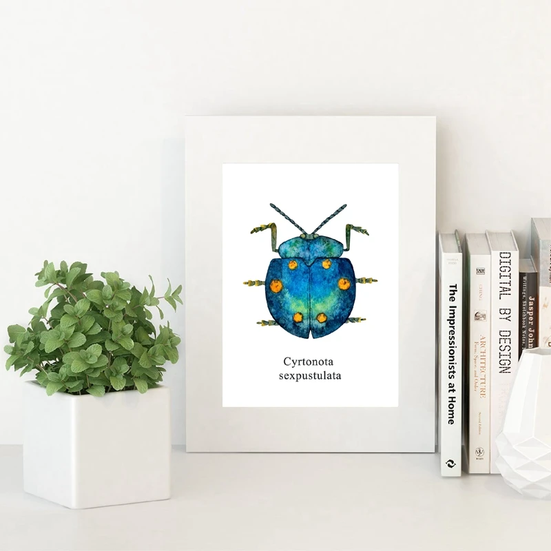 Cyrtonota Sexpustulata Poster Home Decor