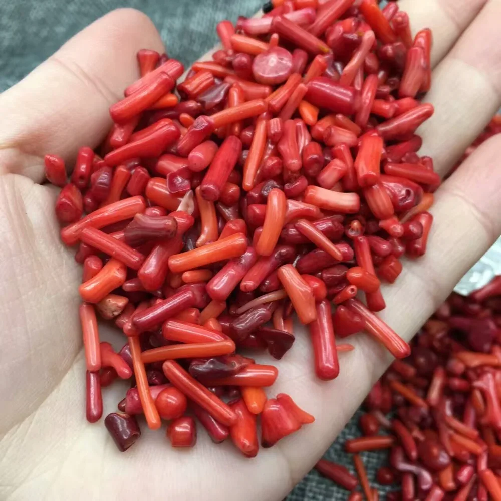 Wholesale Red Natural Coral Crystal Red Stones Rock Mineral Specimen