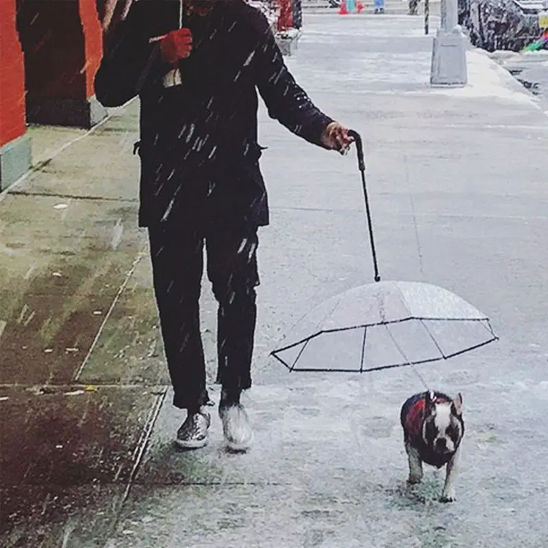 Прозрачный зонт для домашних животных с собакой ведет цепи PE Дождь прогулки буксировочный трос собаки ведут маленькая собака кошка сухой плащ поставки