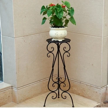 Wrought iron flower floor a few indoor single money plant flowerpot wearing white flower of bracketplant of the sitting room