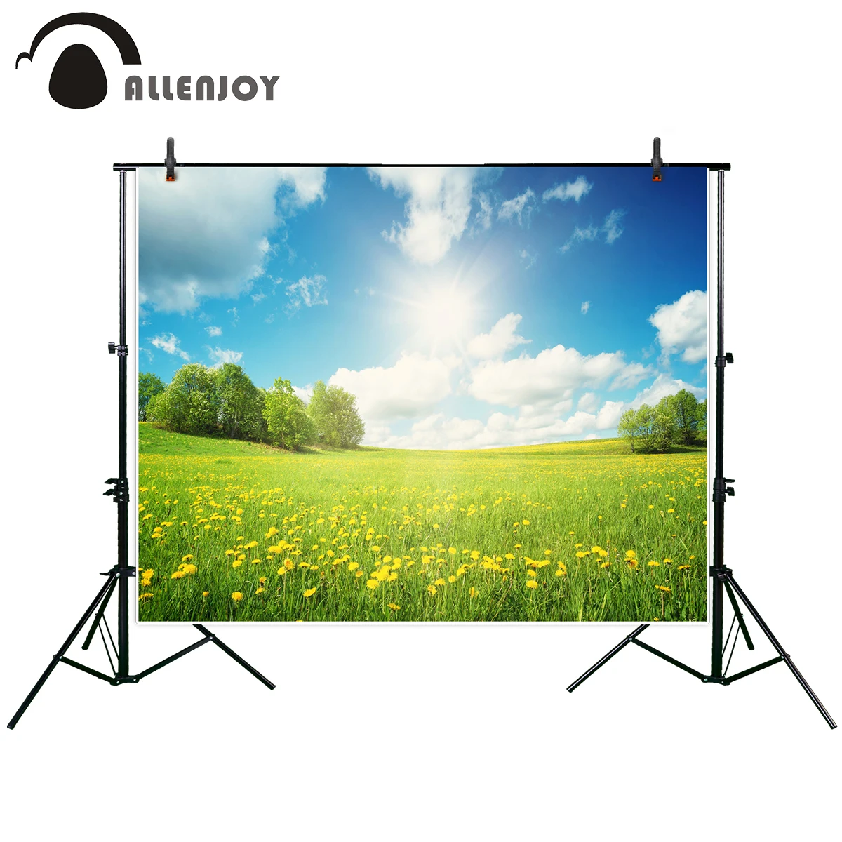 Allenjoy photographic background Field with yellow dandelions and blue sky spring warm sun new backdrop photocall photo printed |