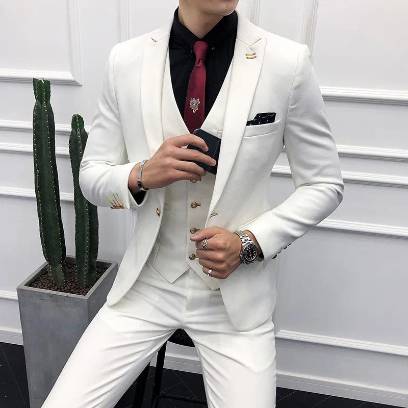 3PC-Suit-Men-Brand-New-Slim-Fit-Business-Formal-Wear-Tuxedo-High-Quality-Wedding-Dress-Mens (2)