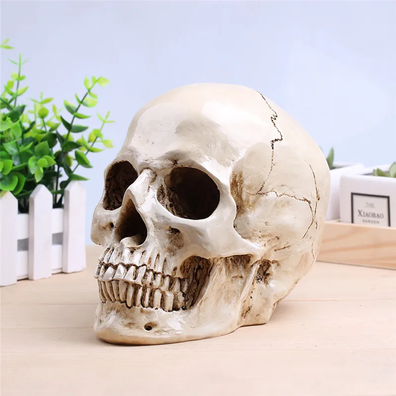 

Skull Resin Crafts Halloween Decorations Sculpture Statues Sketch Props Bar Clothing Store Decoration